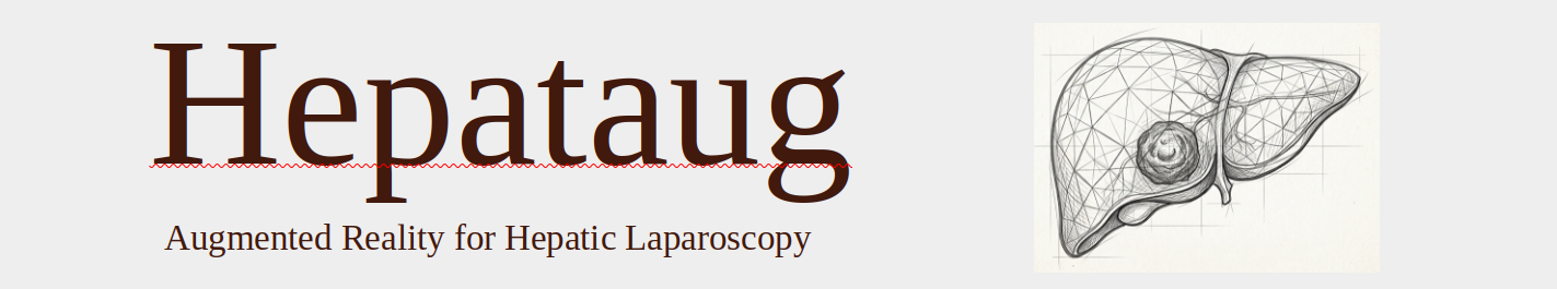 Hepataug Header Banner